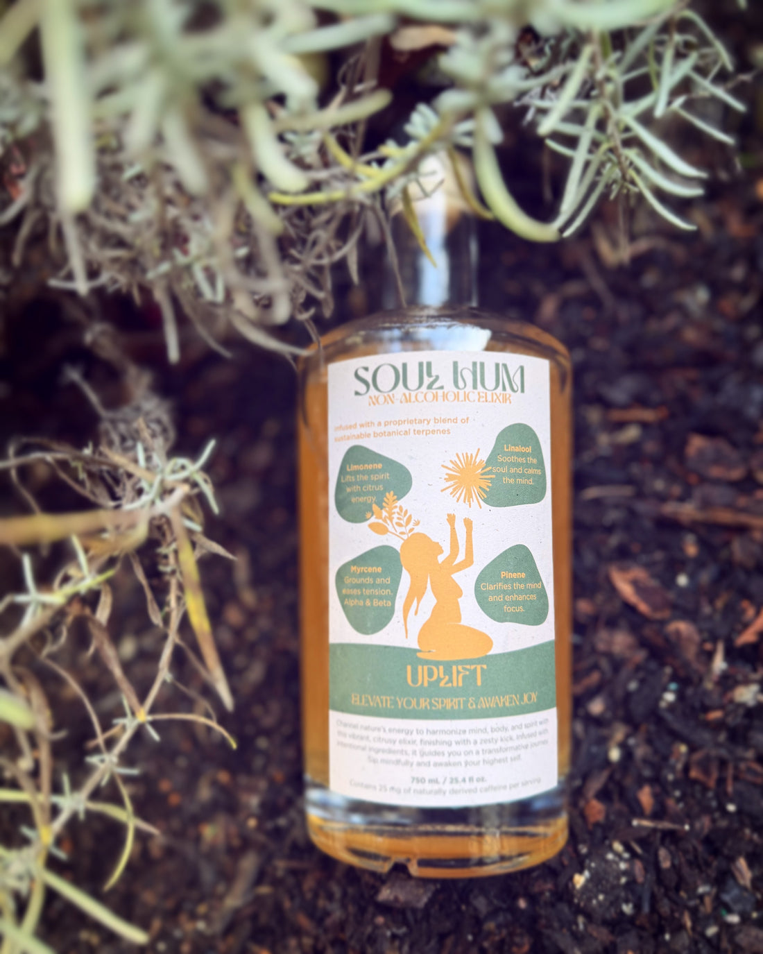 Anna's Soulhum Spritz!