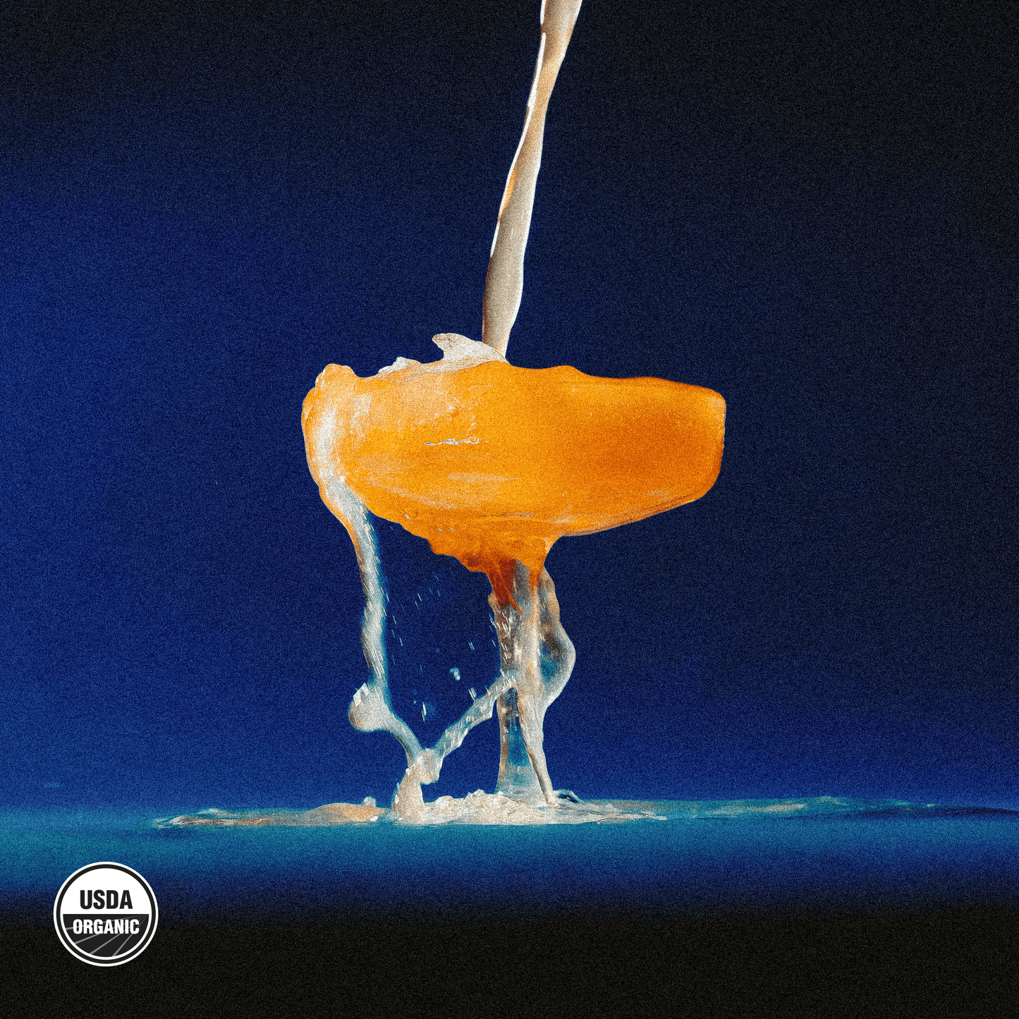 Watermelon Lime Social Tonic