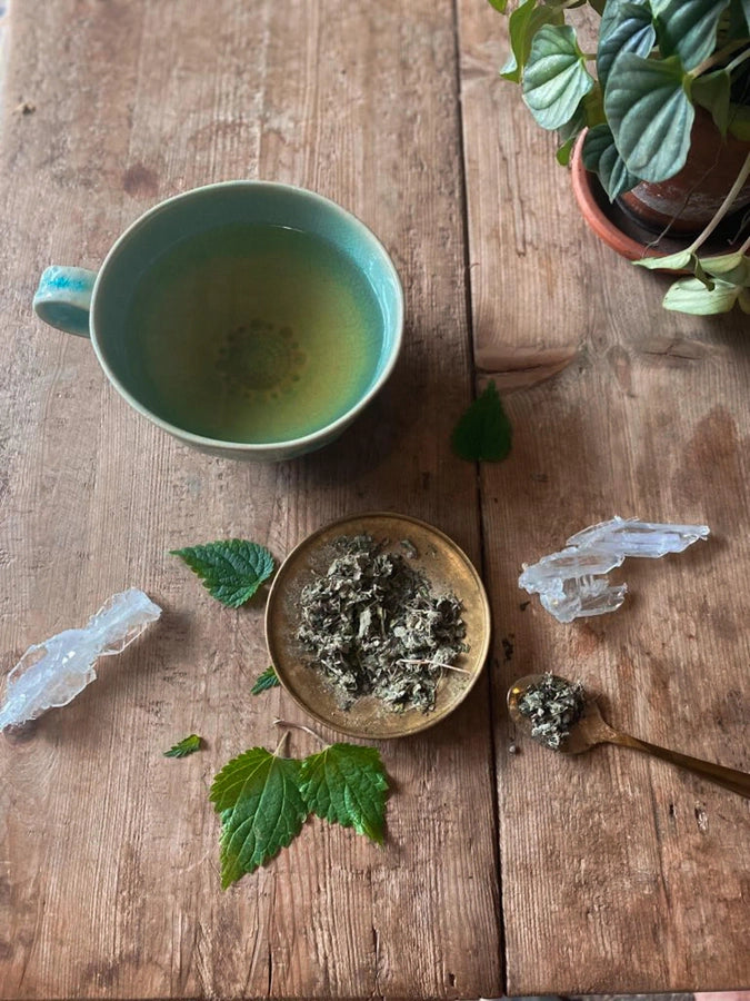 WOMB Tea | Organic Nourish + Empower