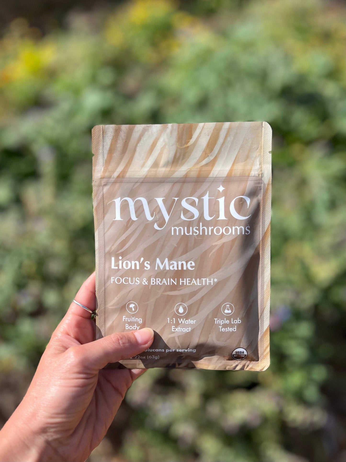 Lion's Mane - Fruiting Body - 1:1 Water Extracted - Organic