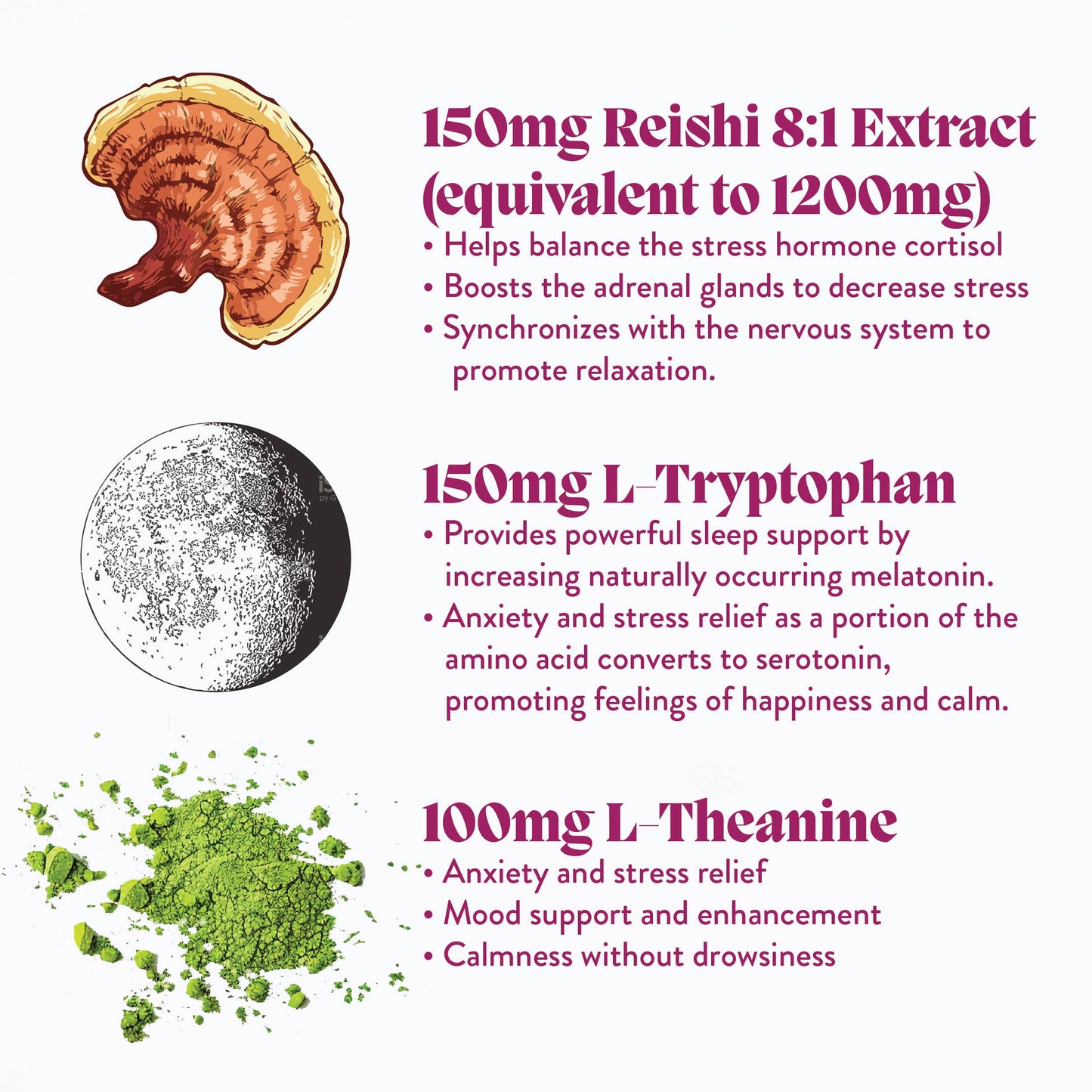 Hibernate Mushroom Gummies (5) / Vegan Supplement / Sleep