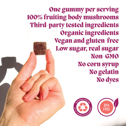 Motivate Mushroom Gummies (5) / Vegan Supplement / Energy