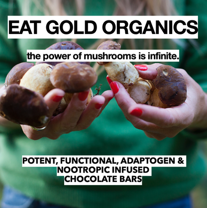 IMMUNE SHROOM a Potent, Functional & Delicious Chocolate Bar
