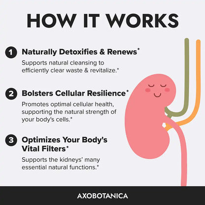 Axobotanica