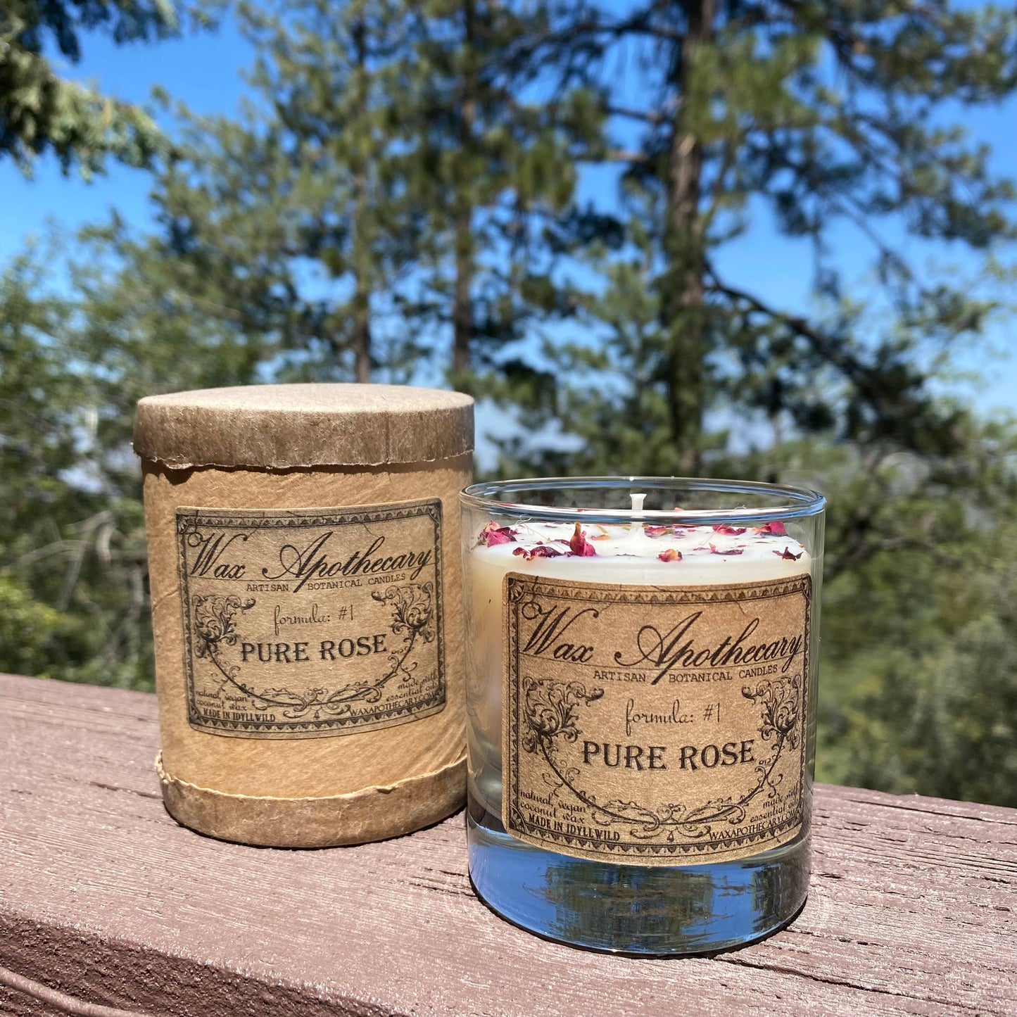 Pure Rose Botanical Candle in 7oz Scotch Glass