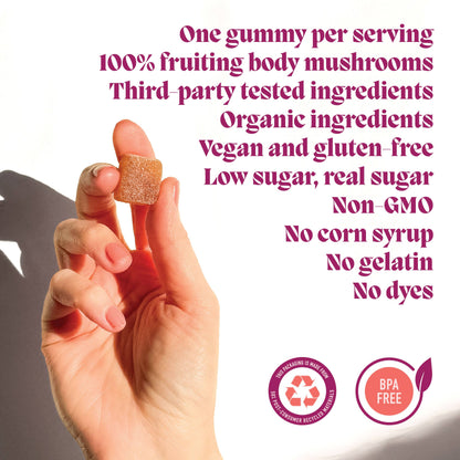 Concentrate Mushroom Gummies (5) / Vegan Supplement / Focus