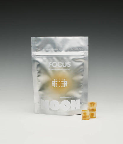 NOON WORLD - The Essentials Kit