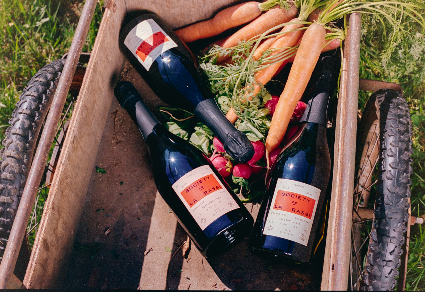 Beso Besa Vintage 2024 | Bottle