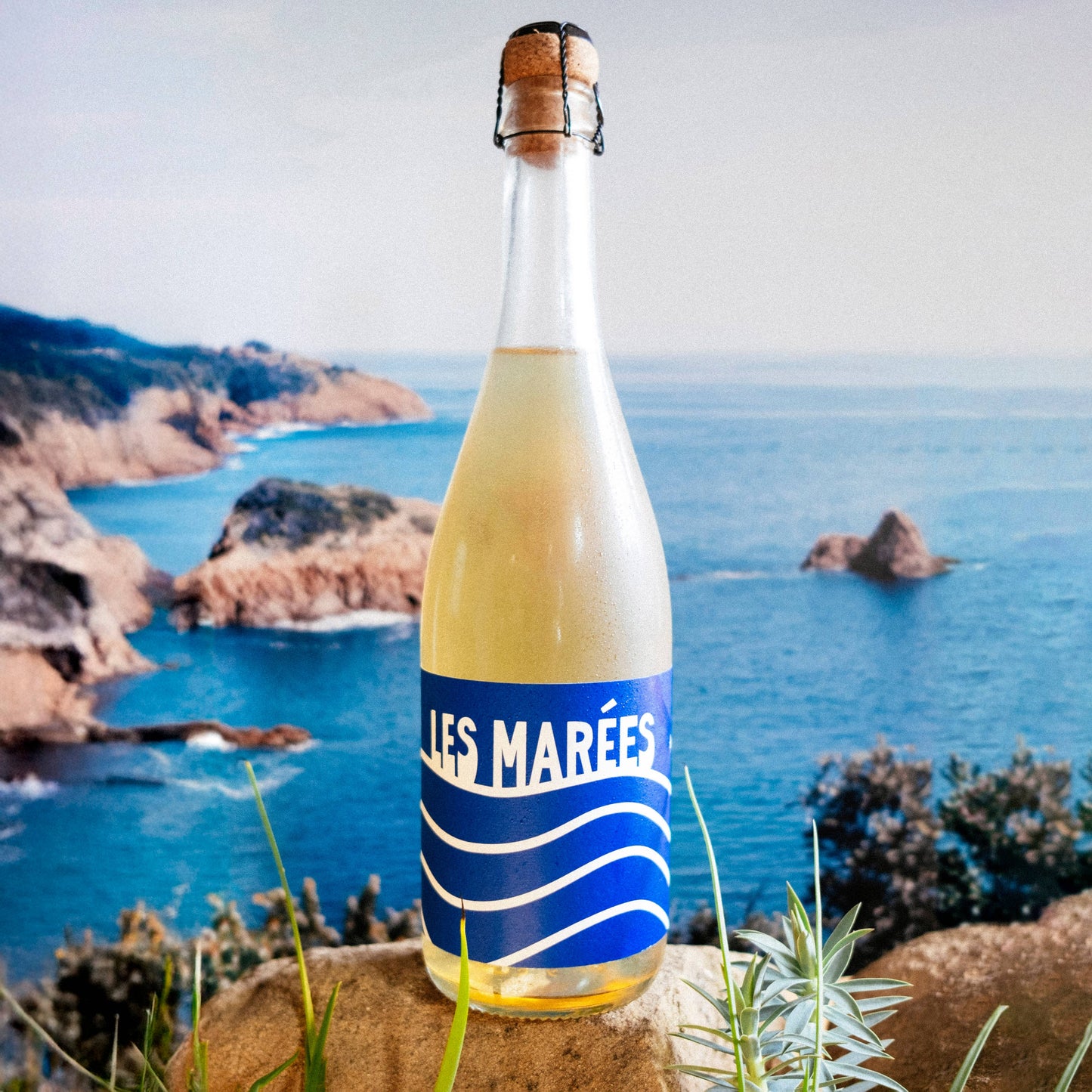 Les Marées Non-Alcoholic Sparkling Blanc de Blanc (750ml)