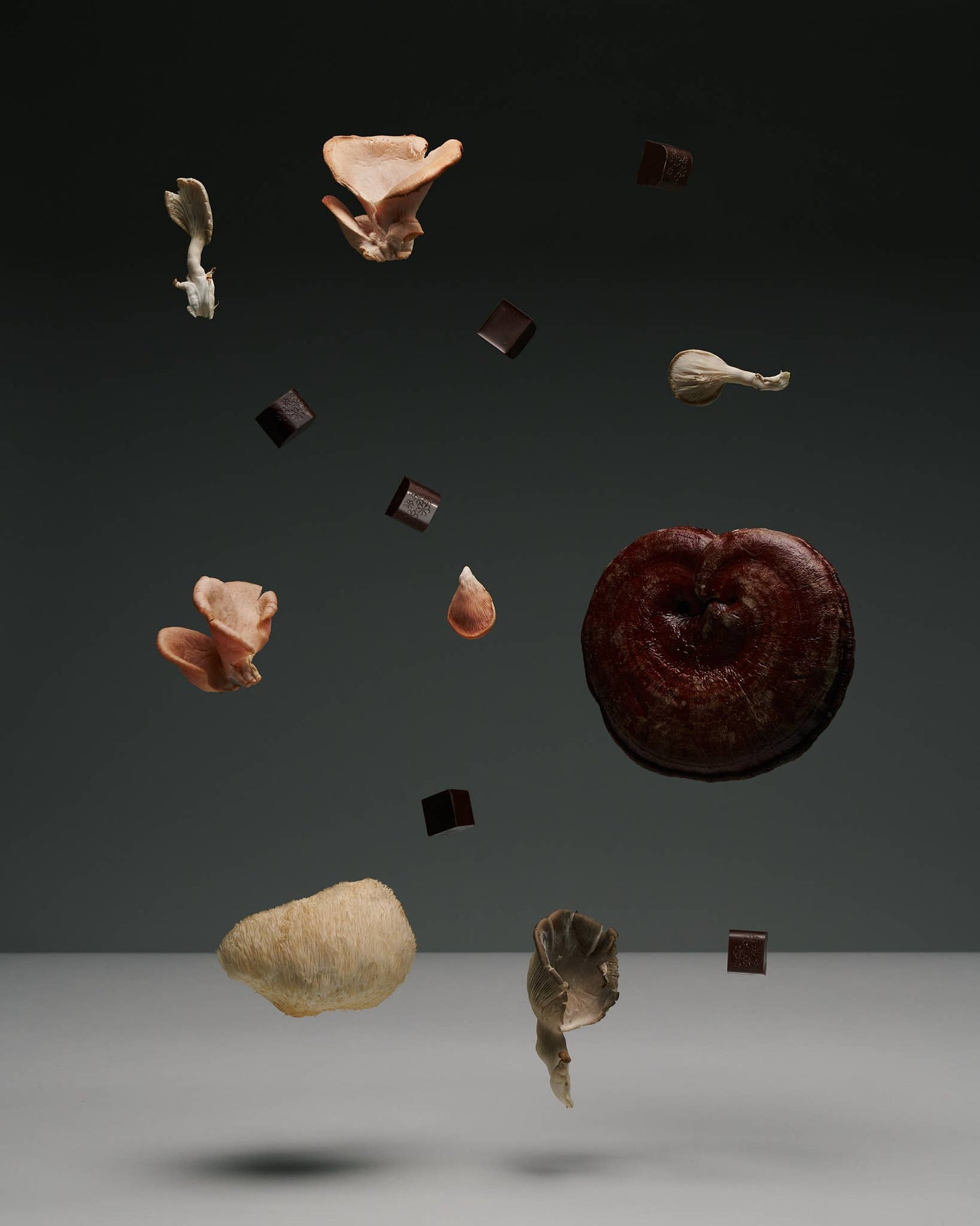 NOON Chocolate Delights • In The Zone