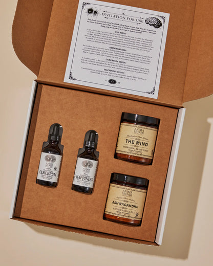 Brain Kit
