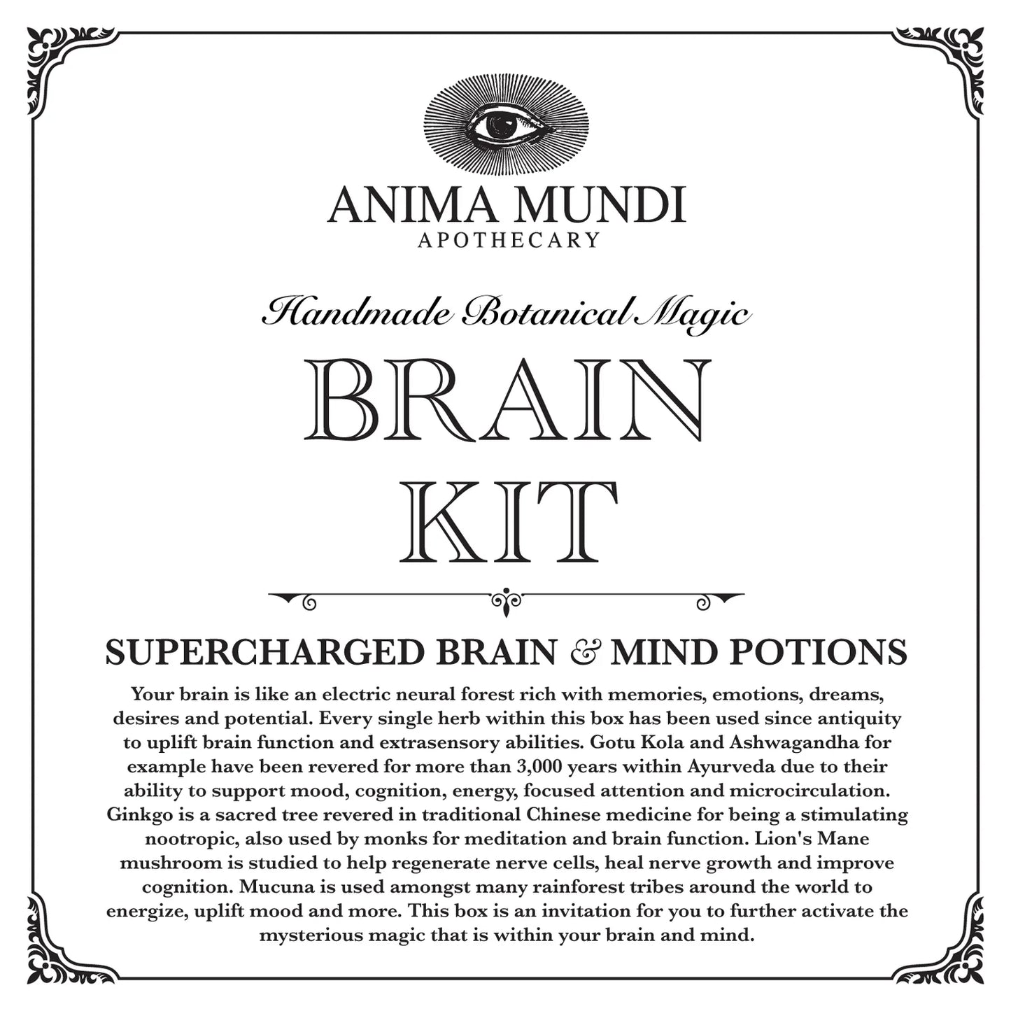 Brain Kit