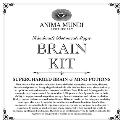 Brain Kit