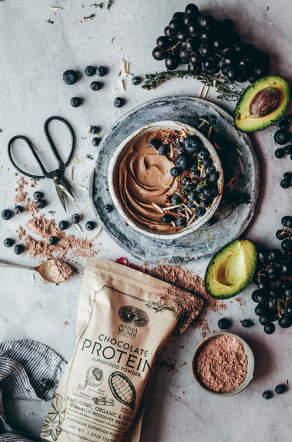 Chocolate Protein