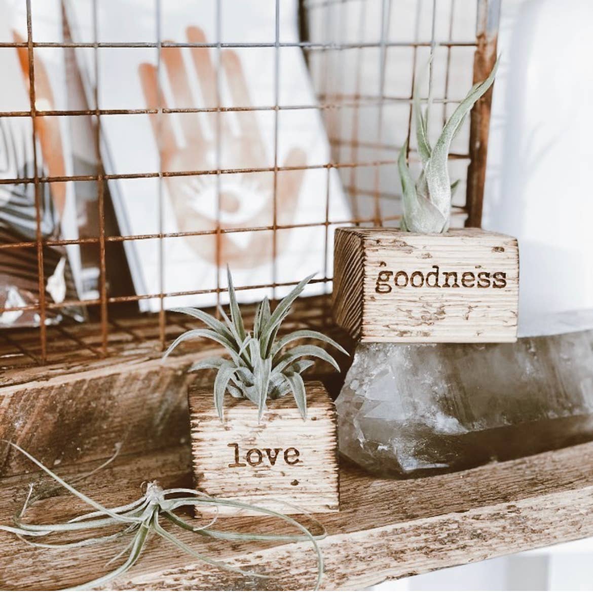 Spiritual Whiskey - Salvaged Wood Air Plant Holder – Engraved Planter Block