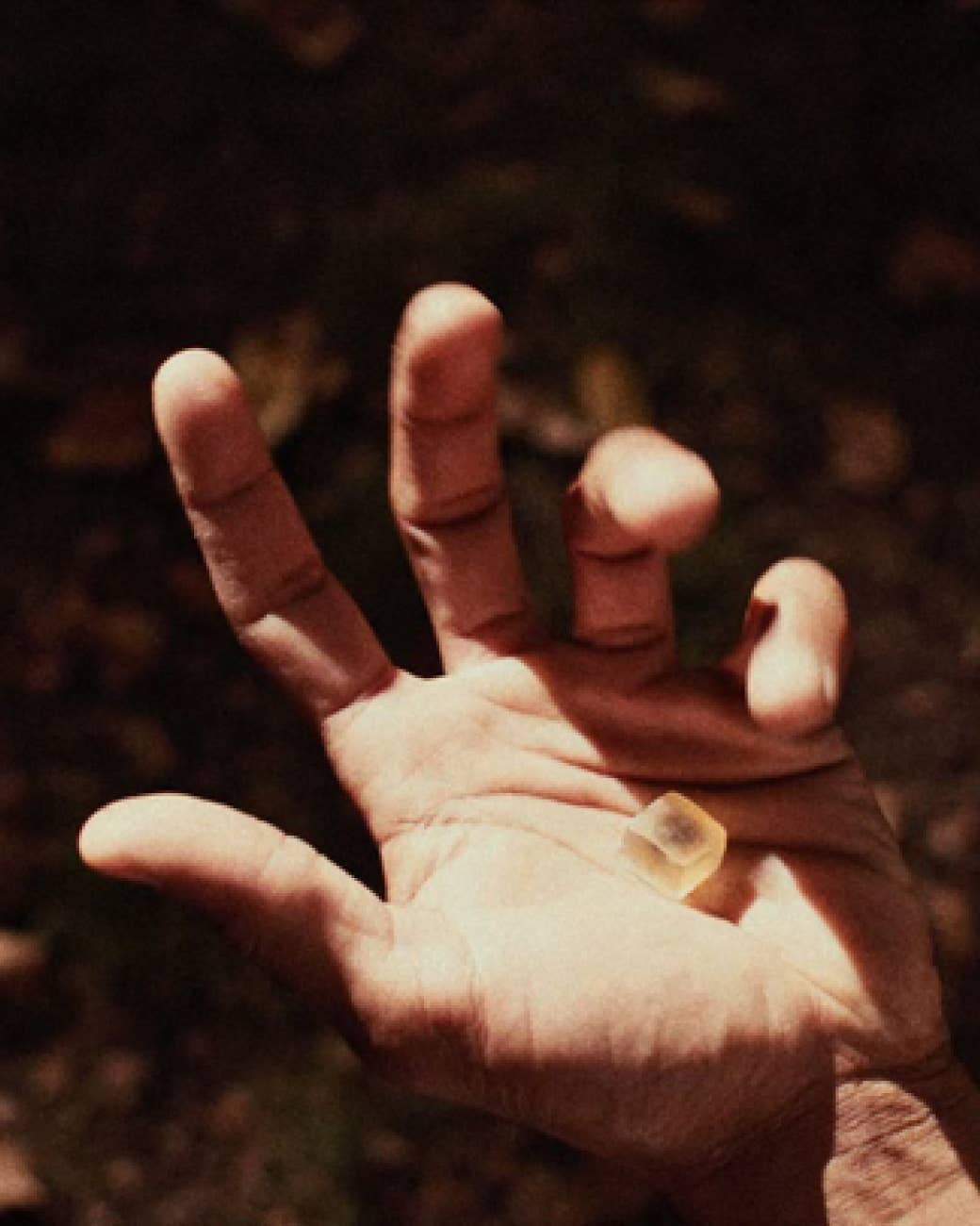 NOON Sleep Mushroom Gummy Delights