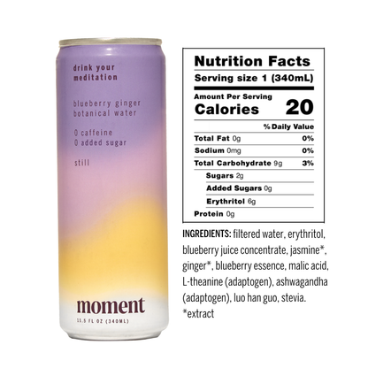 Blueberry Ginger Botanical Water