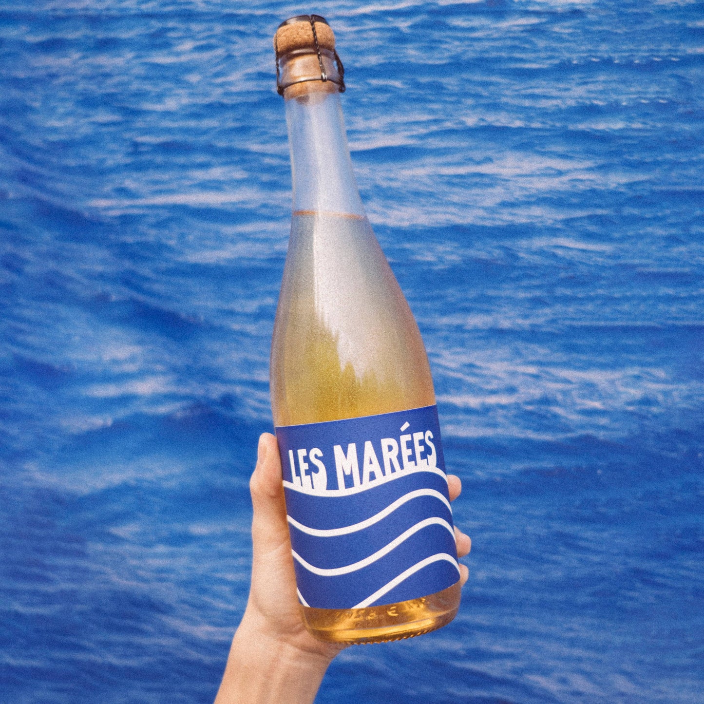 Les Marées Non-Alcoholic Sparkling Blanc de Blanc (750ml)