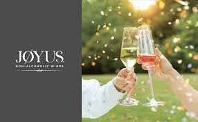 Non-Alcoholic Sparkling Rose