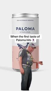 Paloma - 200 ml Can