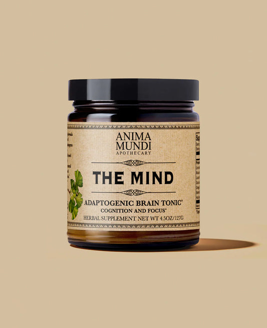 The Mind | Cognition + Focus